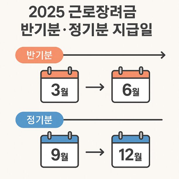 2025년 근로장려금 지급일정 인포그래픽 - 반기분과 정기분 신청 및 지급 시기를 달력 아이콘으로 시각화
