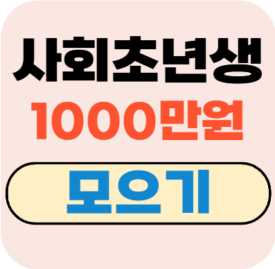 사회초년생 1000만원 모으기