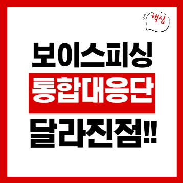 보이스피싱 대응