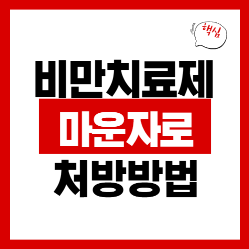 마운자로 처방