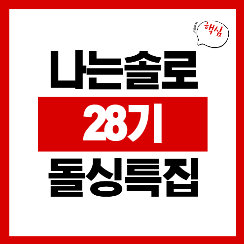 나는솔로 28기 직업